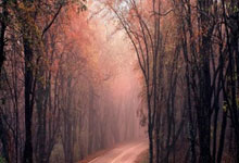 天涯论坛热聊朱元璋和刘伯温的古装剧式历史爆笑