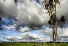 天涯论坛热聊朱元璋和刘伯温的古装剧式历史爆笑