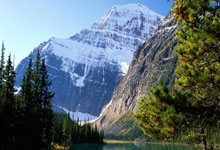 天涯论坛热聊朱元璋和刘伯温的古装剧式历史爆笑