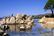 天涯论坛杂谈社区：网友们的吐槽和分享天堂！